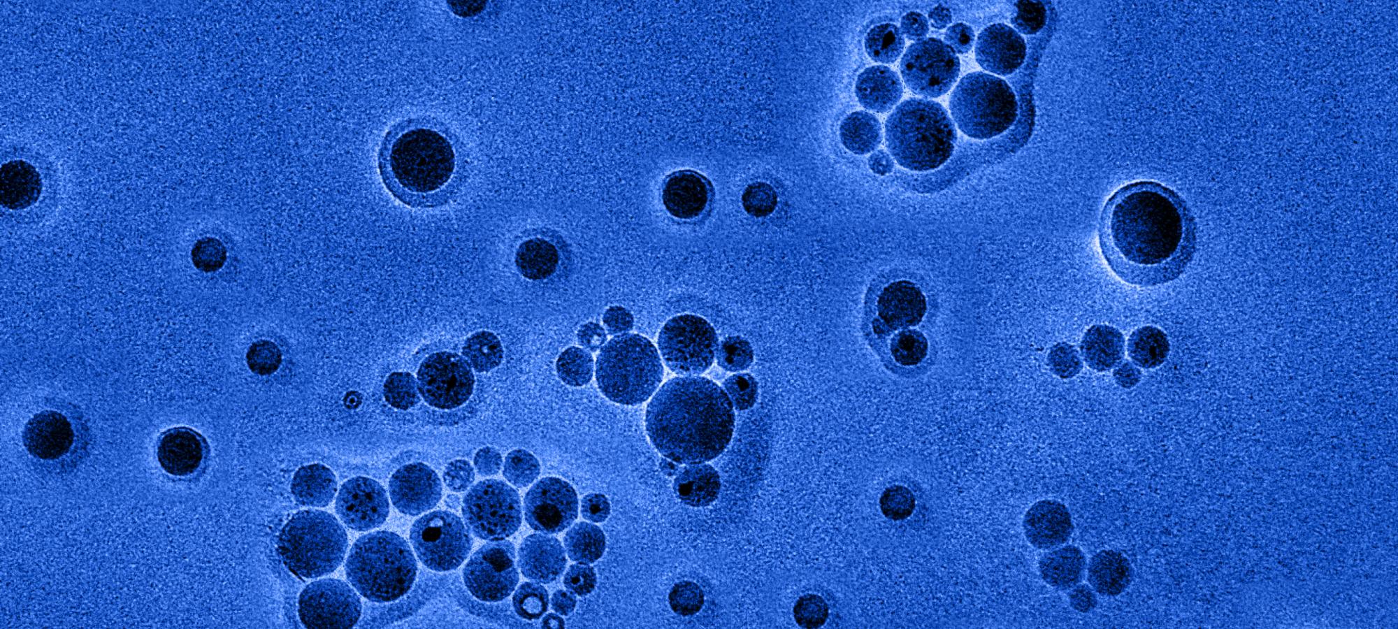 plin nanotechnology laboratory image